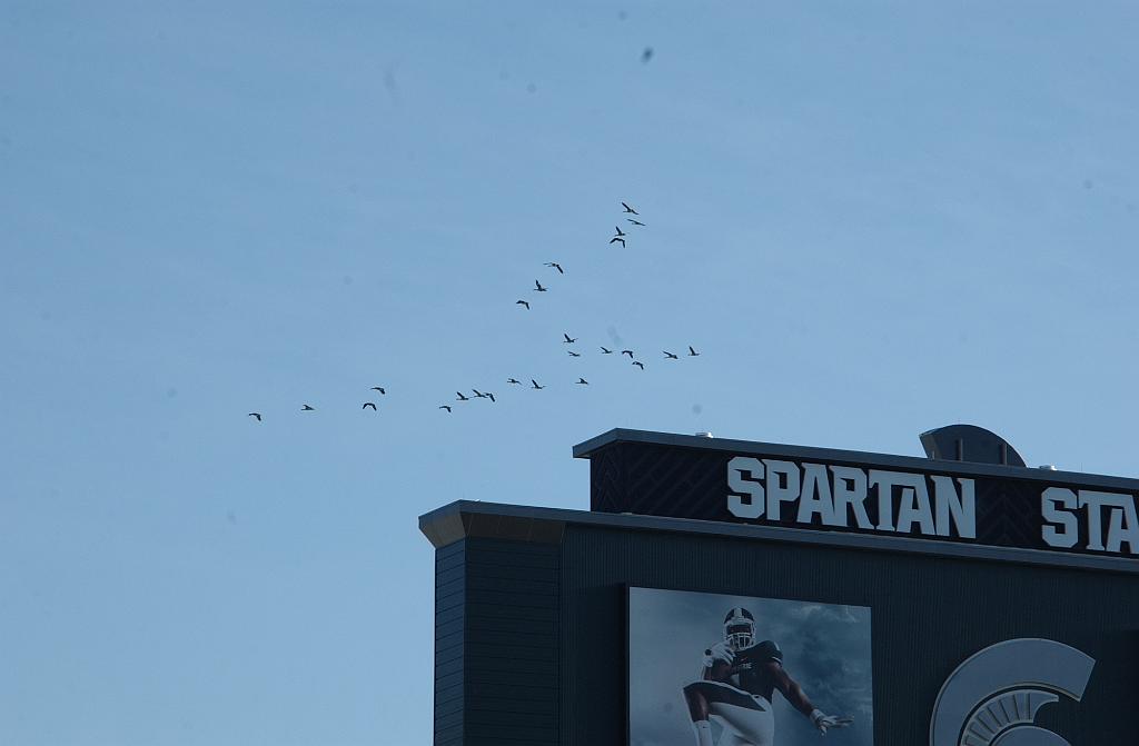 DSC_6517.JPG - Odyssey of the Mind World Finals 2013 at Michigan State University