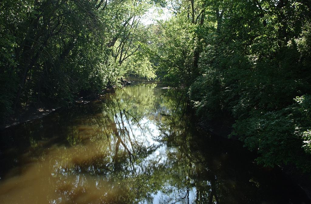 DSC_6522.JPG - Odyssey of the Mind World Finals 2013 at Michigan State University