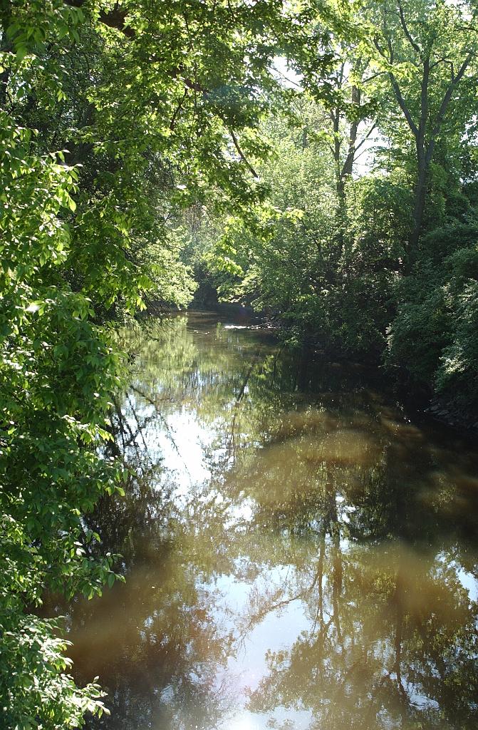 DSC_6524.JPG - Odyssey of the Mind World Finals 2013 at Michigan State University