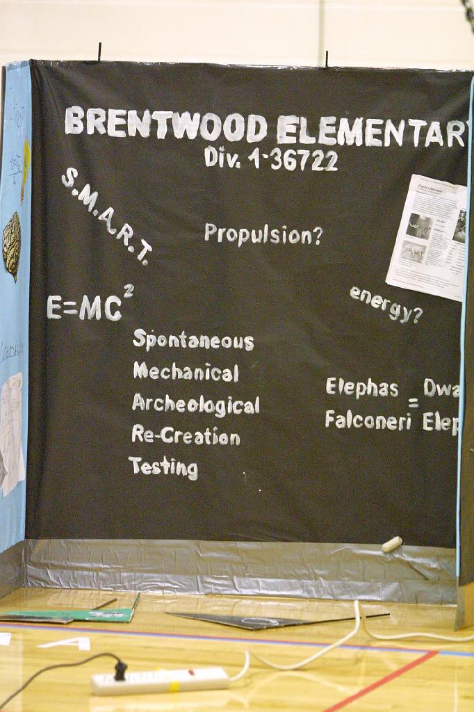 IMG_2127.JPG - P1 Brentwood Elementary Div. I  - Sun